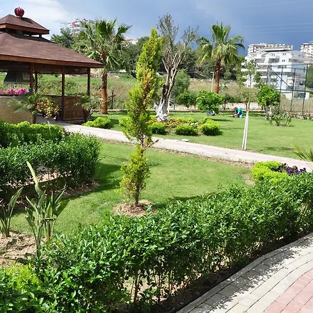 Apartment Orion Hill Avsallar